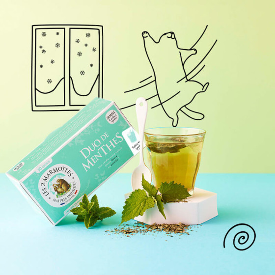 tisane menthe douce et menthe poivrée duo de menthes Les 2 Marmottes - Made in France - Sans arômes ajoutés tisane menthe douce et menthe poivrée duo de menthes Les 2 Marmottes - Made in France - Sans arômes ajoutés