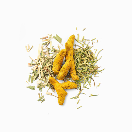Plantes tisane detox au curcuma Plantes tisane detox au curcuma