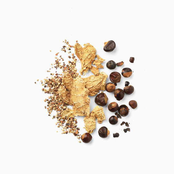 Plantes tisane septième ciel, infusion piquante aux épices gingembre poivre guarana Plantes tisane septième ciel, infusion piquante aux épices gingembre poivre guarana
