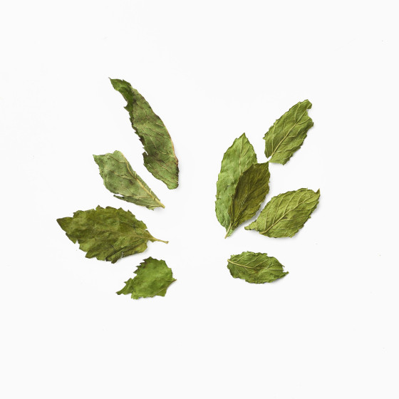 Duo of Mints herbal tea