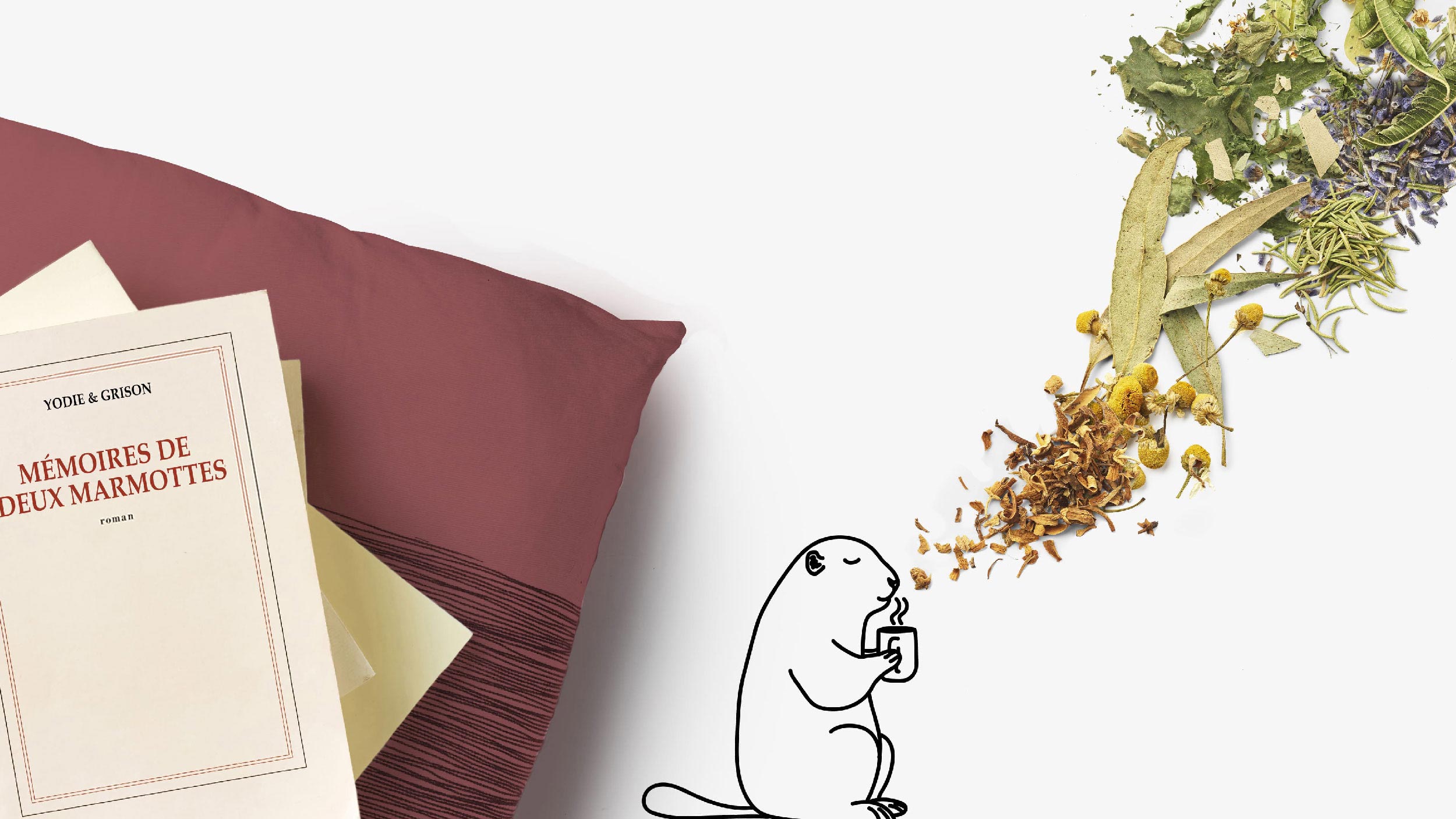 Pile de livres sur un coussin et marmotte qui sent une infusion