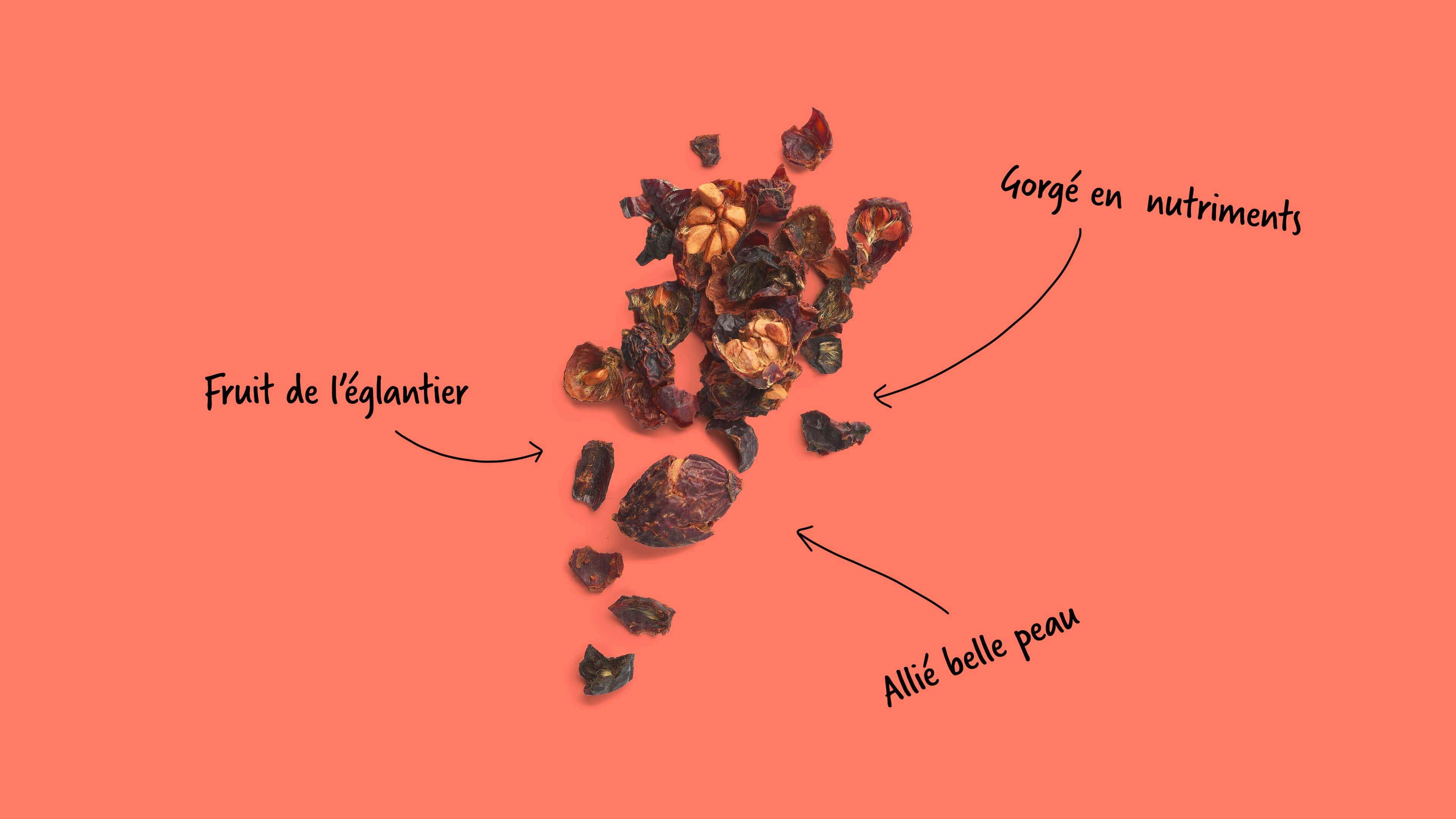 Les bienfaits du cynorrhodon en infusion, nutriments et belle peau