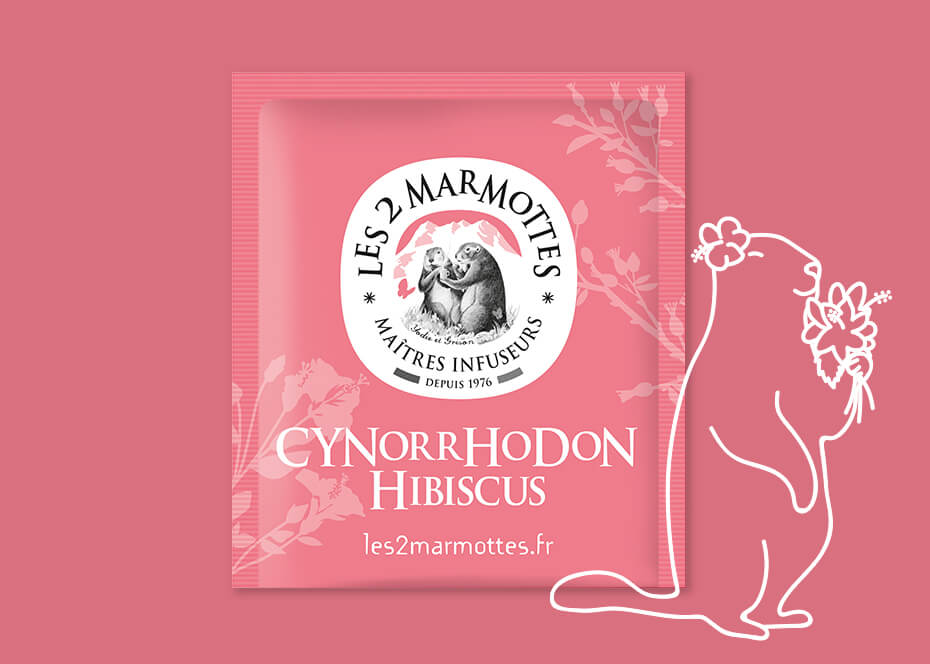 ROSEHIP & HIBISCUS herbal tea made in France