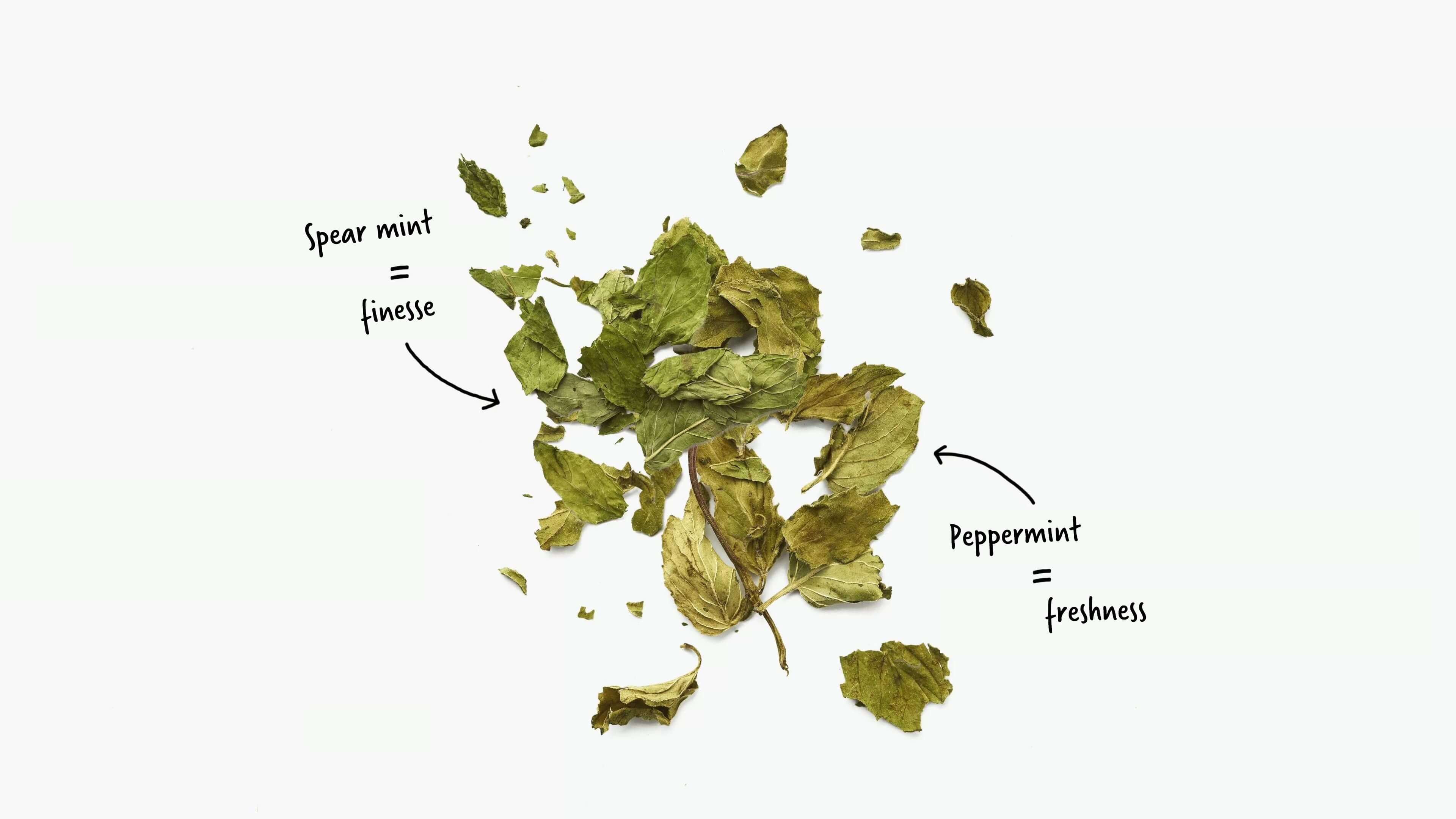 Dried mint is used in many of our herbal teas