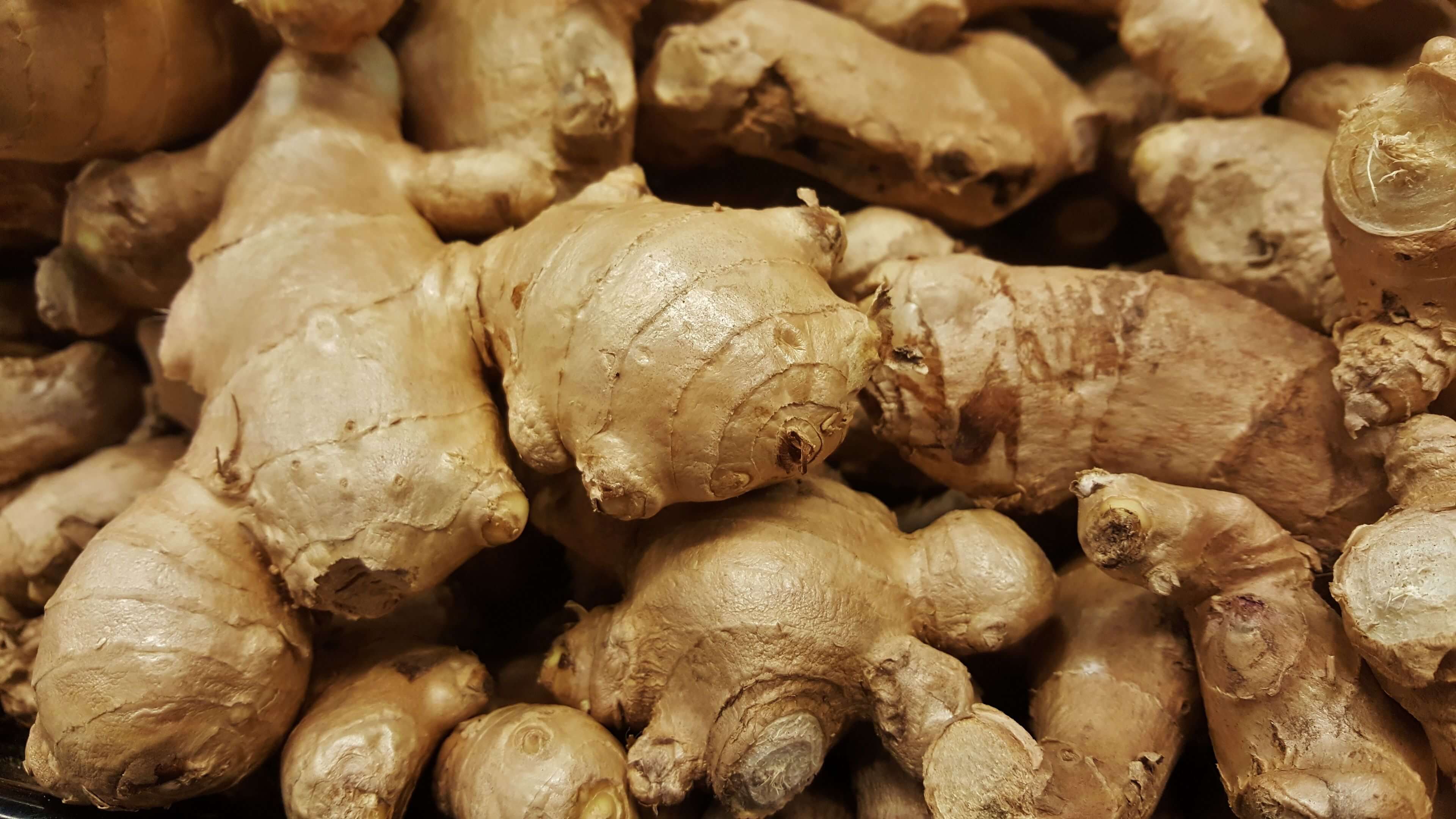Pour faire son infusion gingembre-maison, il est important de sélectionner de beaux morceaux de gingembre