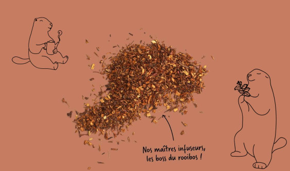 Avec le rooibos, une nouveauté peut en cacher une autre !